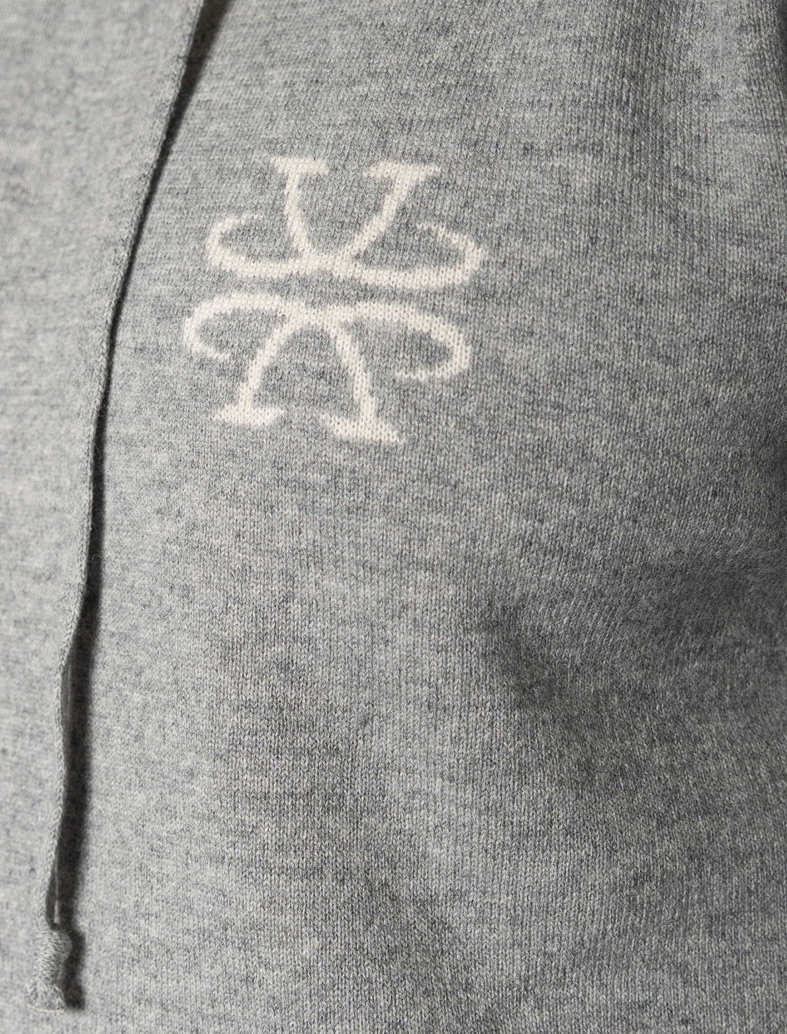 Knitted Jacquard logo hoodie