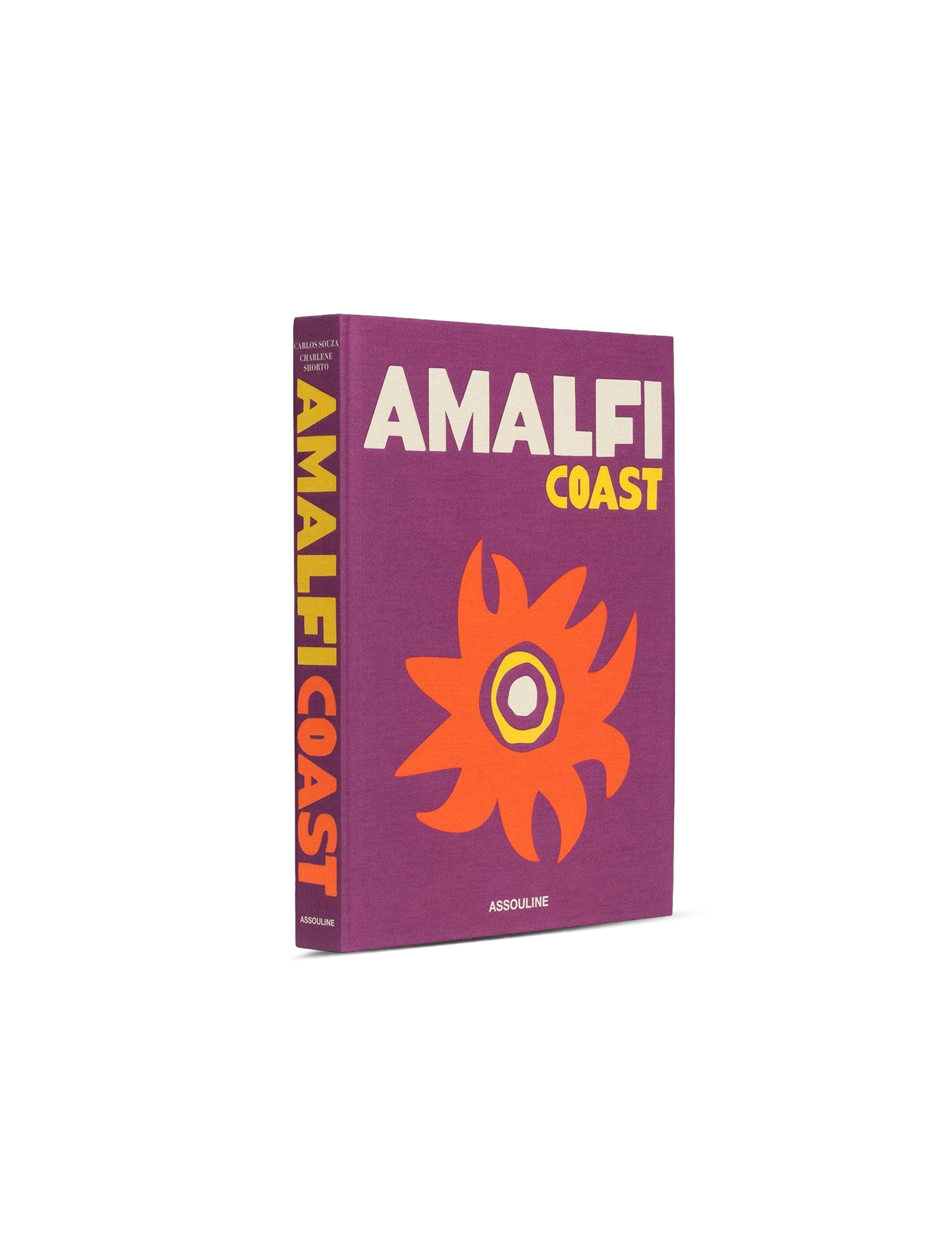 Amalfi Coast book