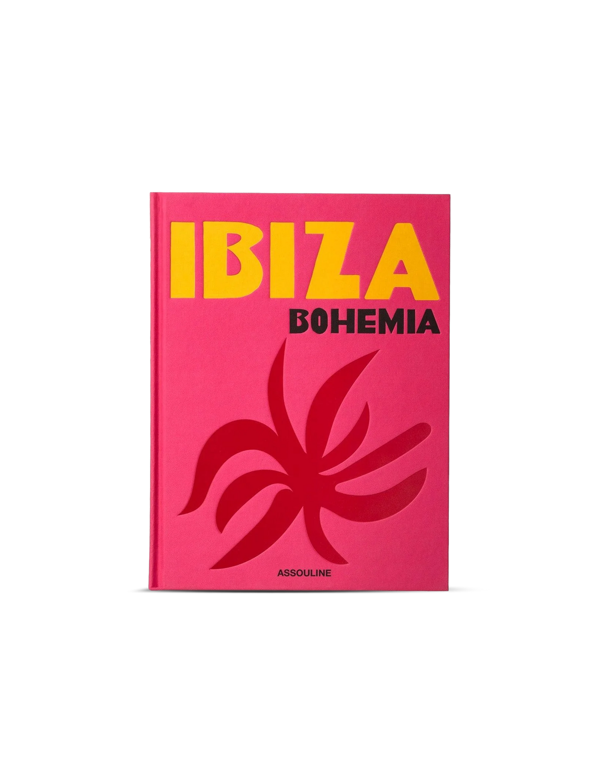 Ibiza Bohemia book