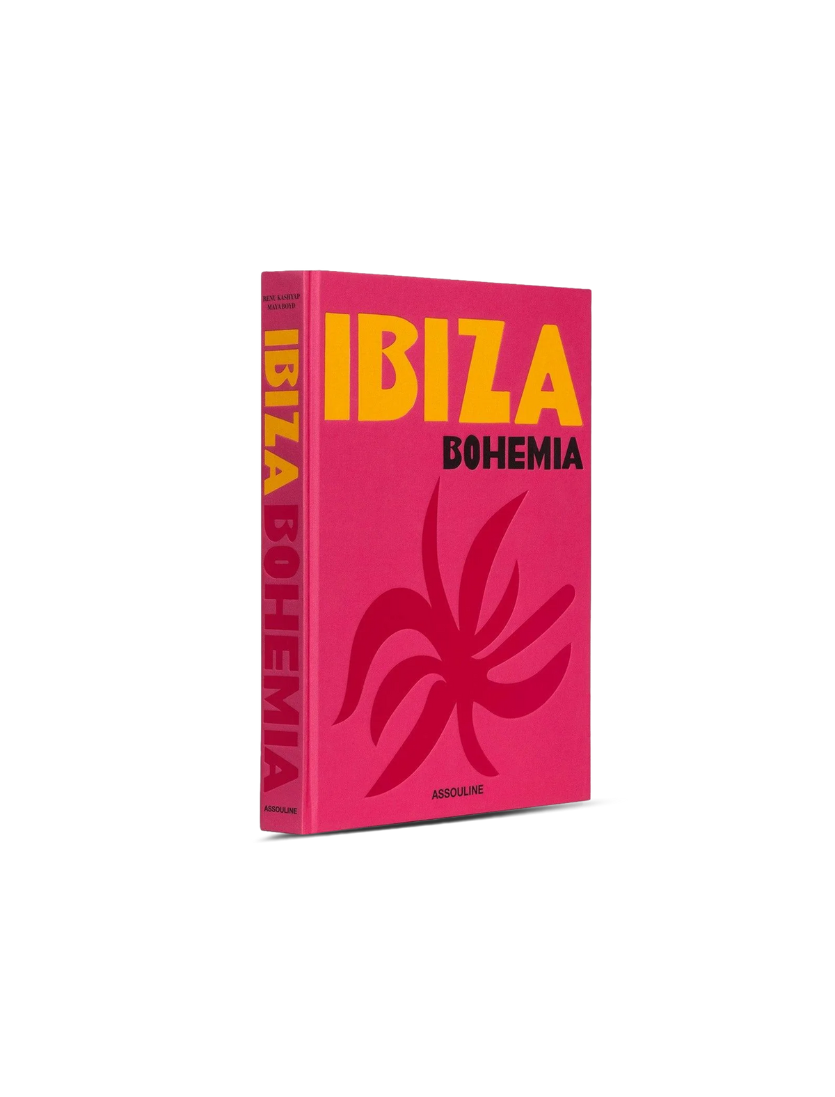 Ibiza Bohemia book