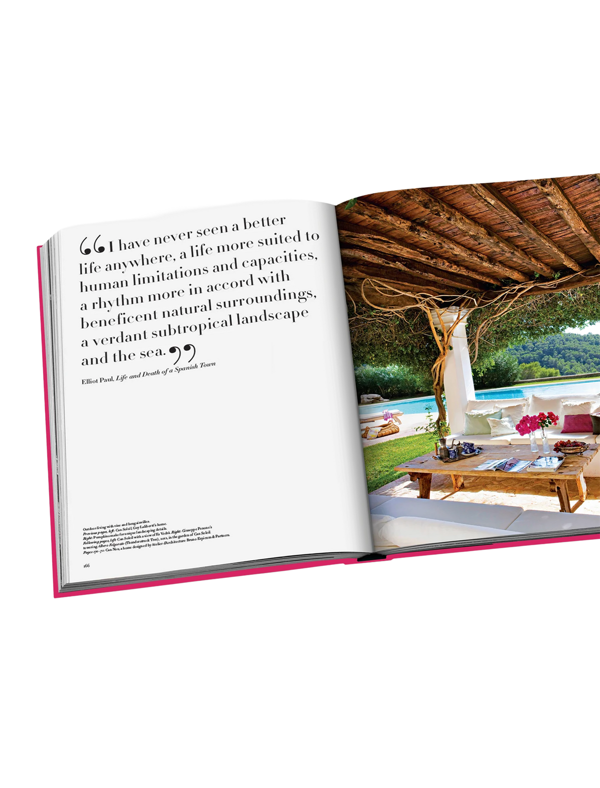 Ibiza Bohemia book