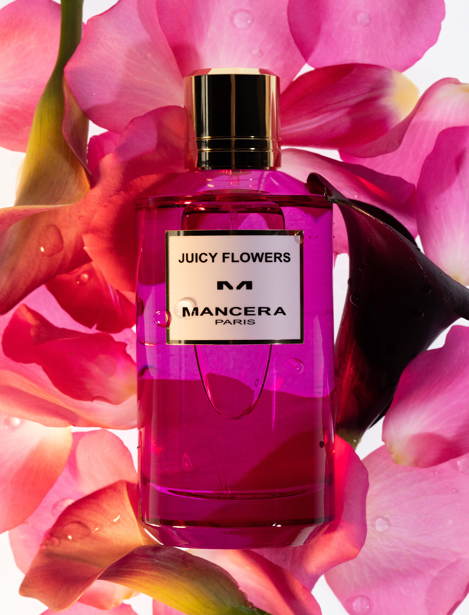 SAFTIGE BLUMEN 120ml