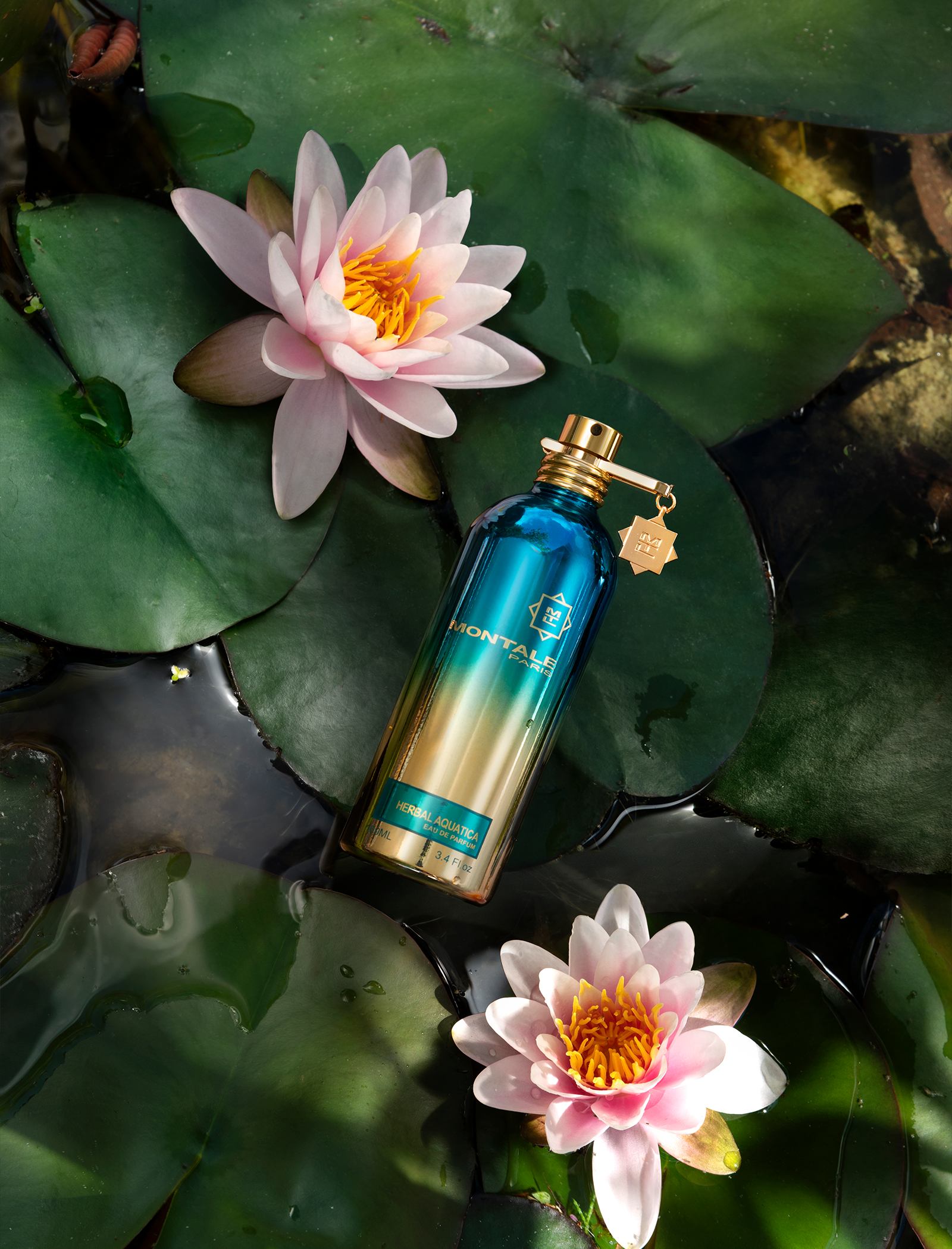 Kräuteraquatica 100ml