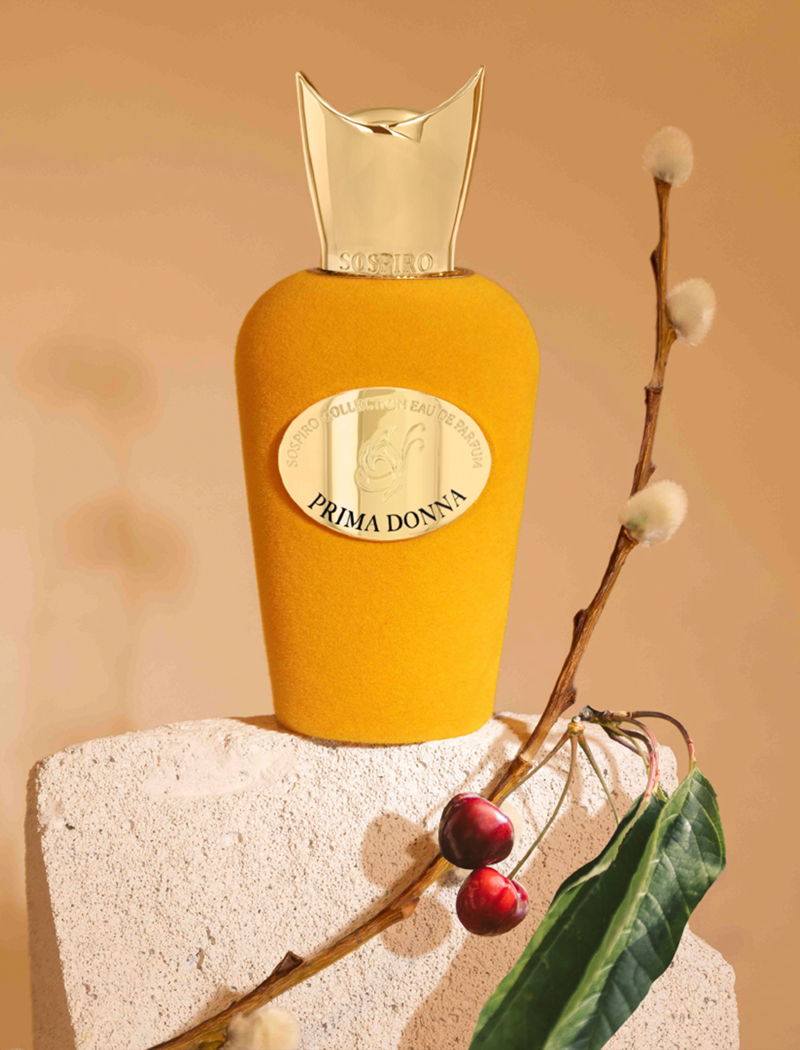 PRIMADONNA 100ML