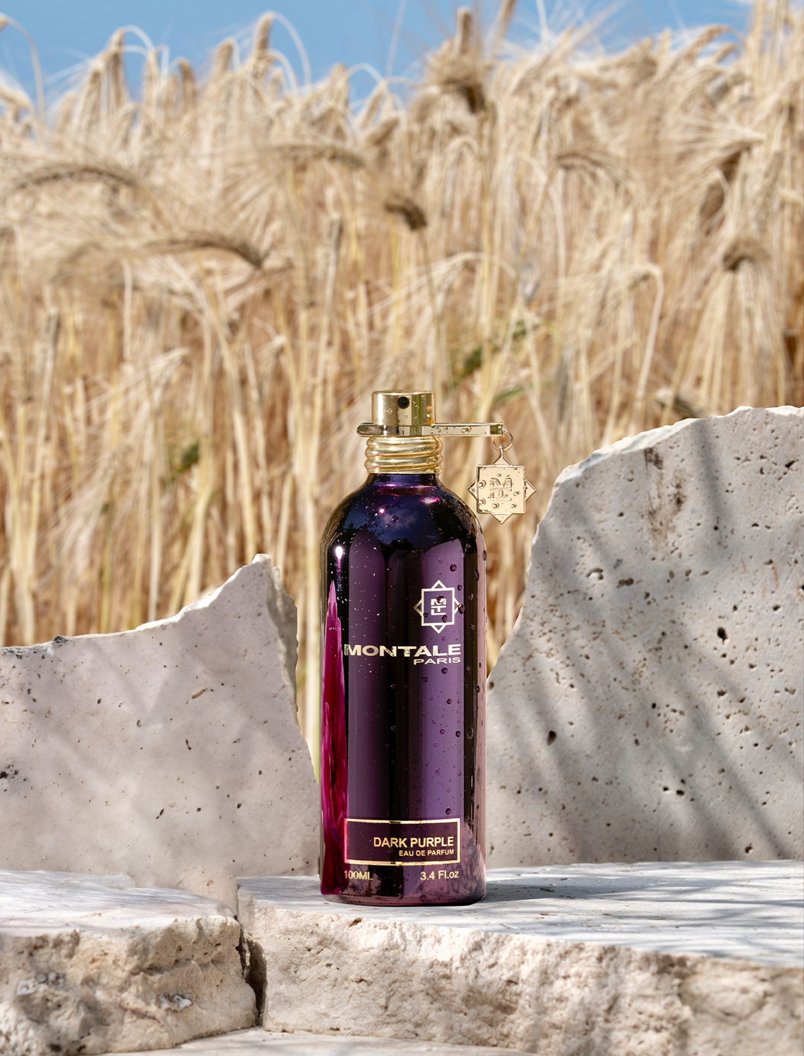 Dunkelviolett 100ml