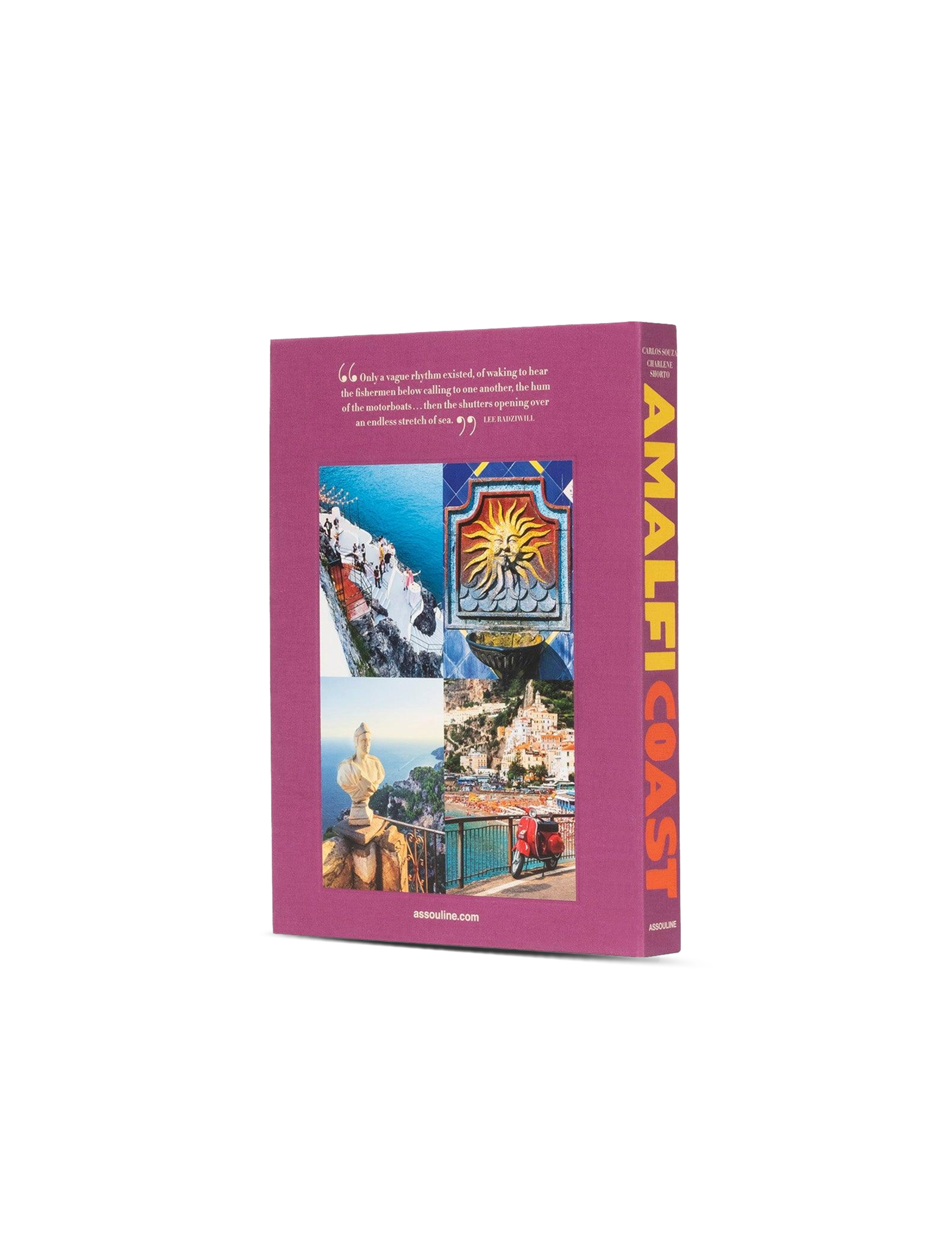 Amalfi Coast book