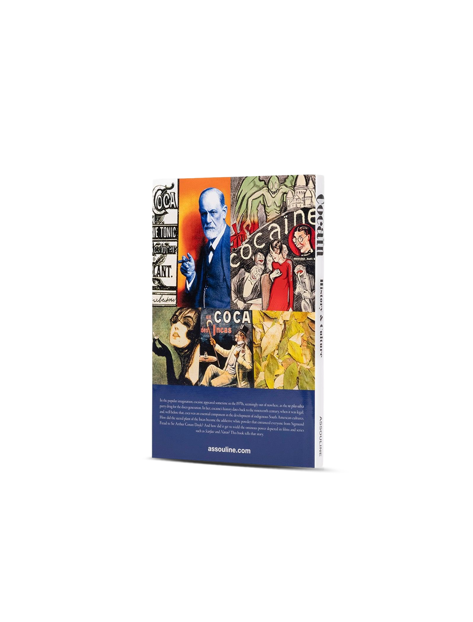 Cocaine: History & Culture book