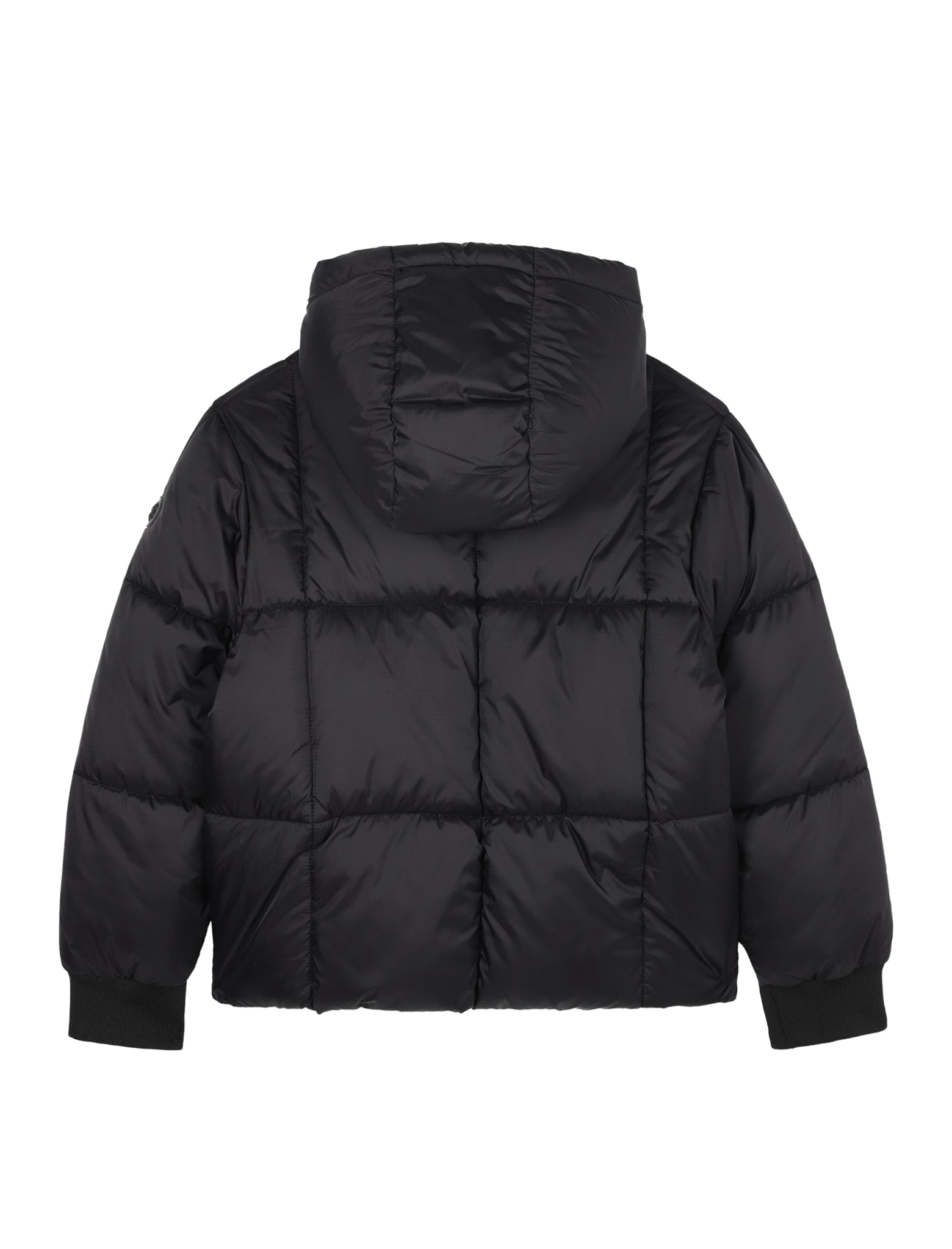 High neck padded down jacket