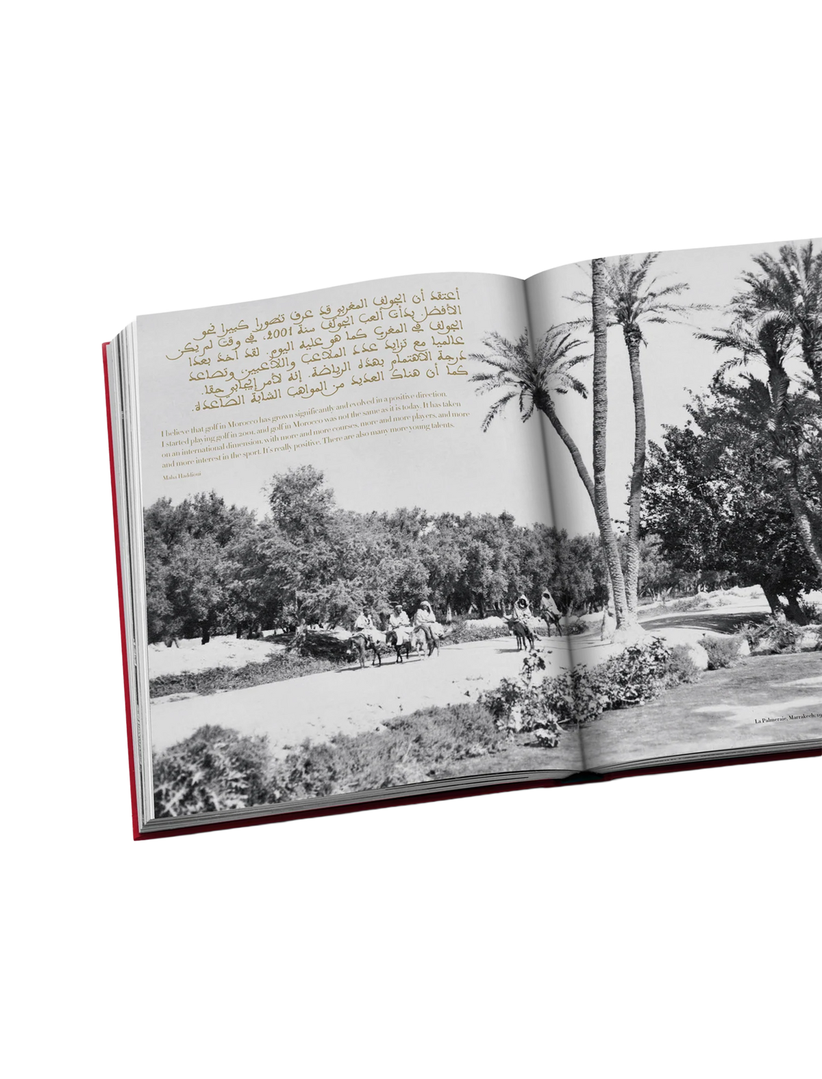 Morocco Kingdom of Golf book