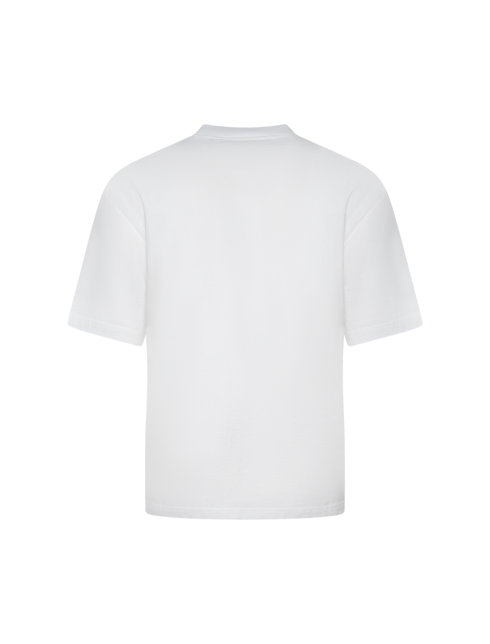 Oversized embroidered t-shirt